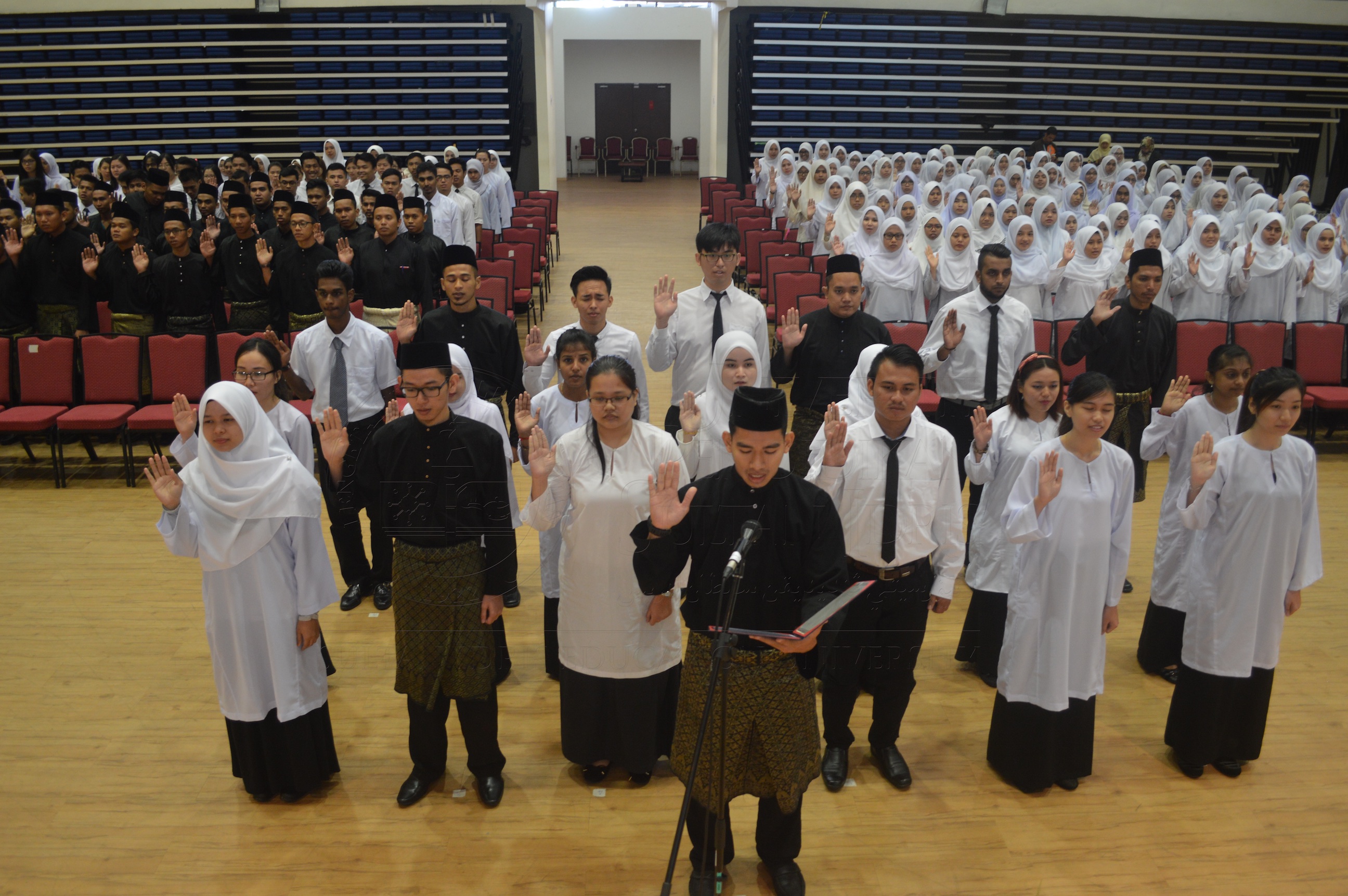 PRO16 15 ismp DSC 0370